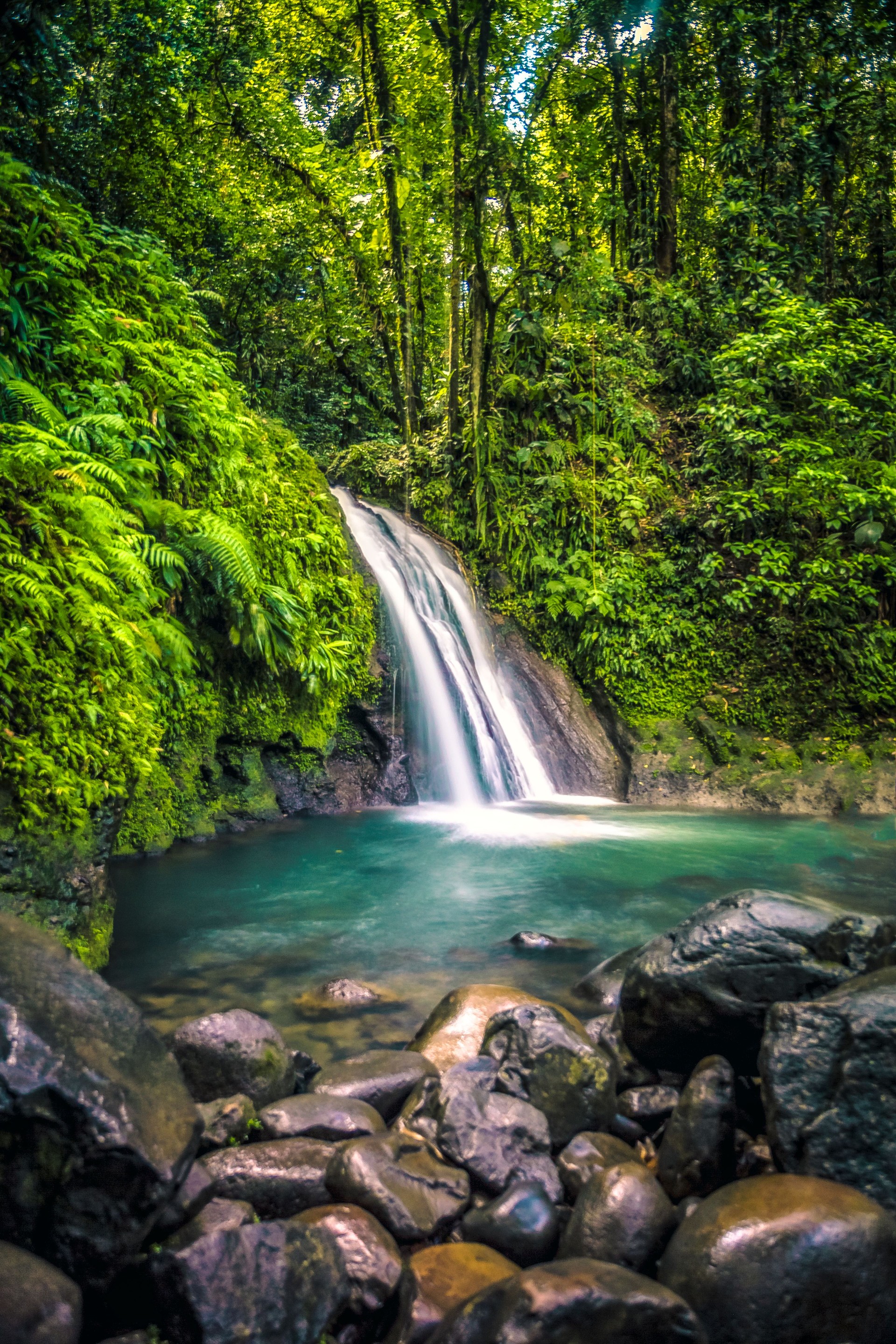 Waterfalls In Caribbean Rainforest