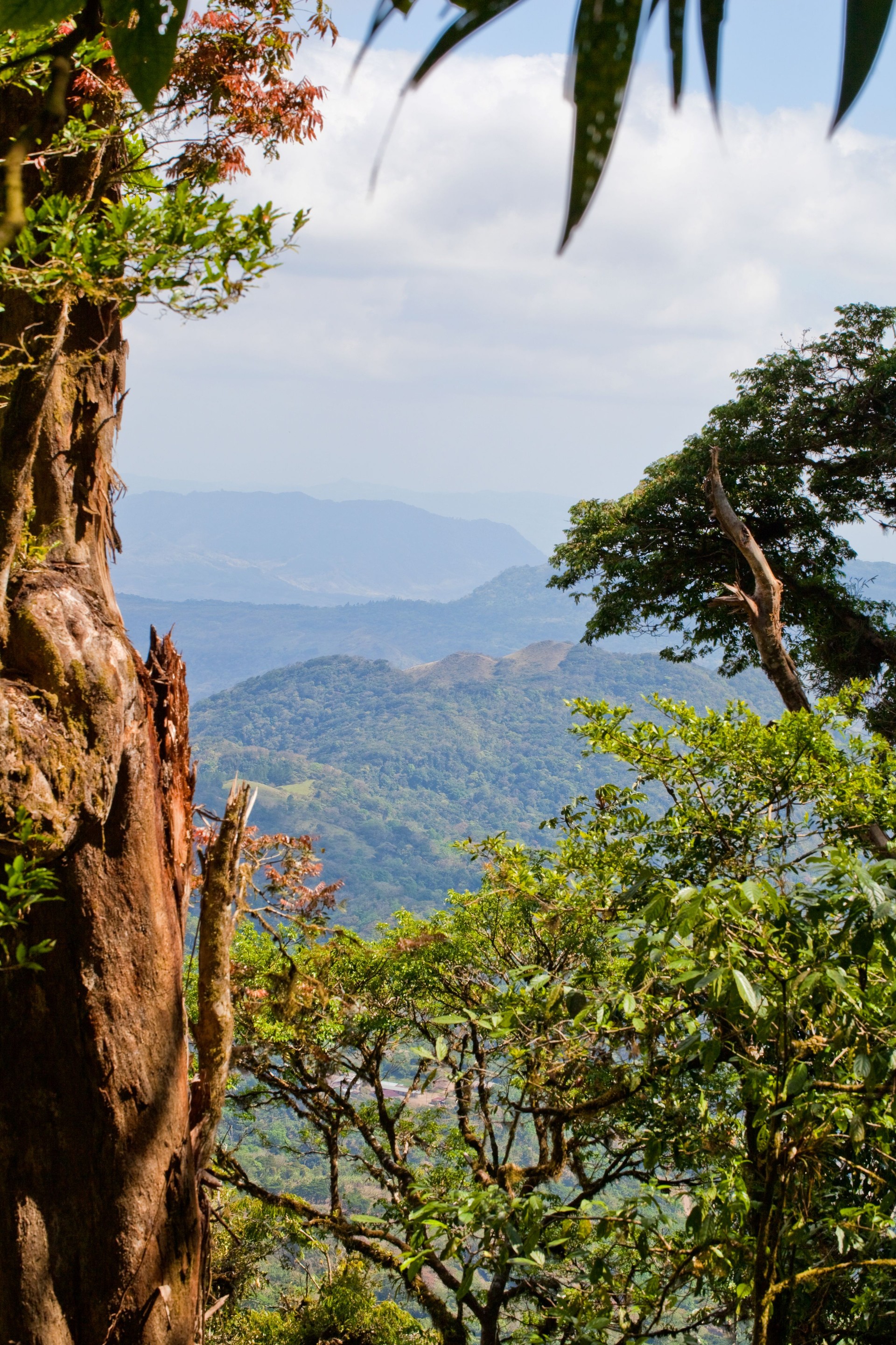 Matagalpa View