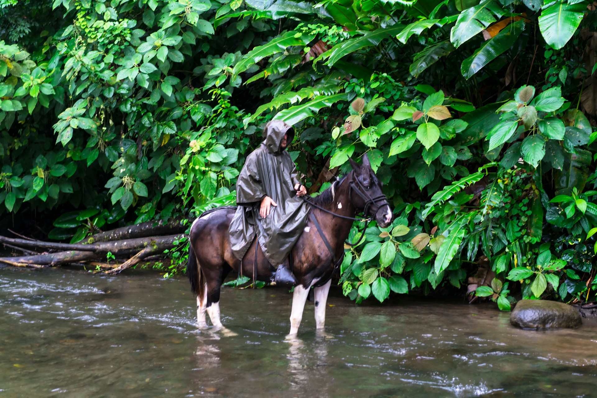 Local guide Horseback riding on foot of  Volcano Arenal, Costa Rica.