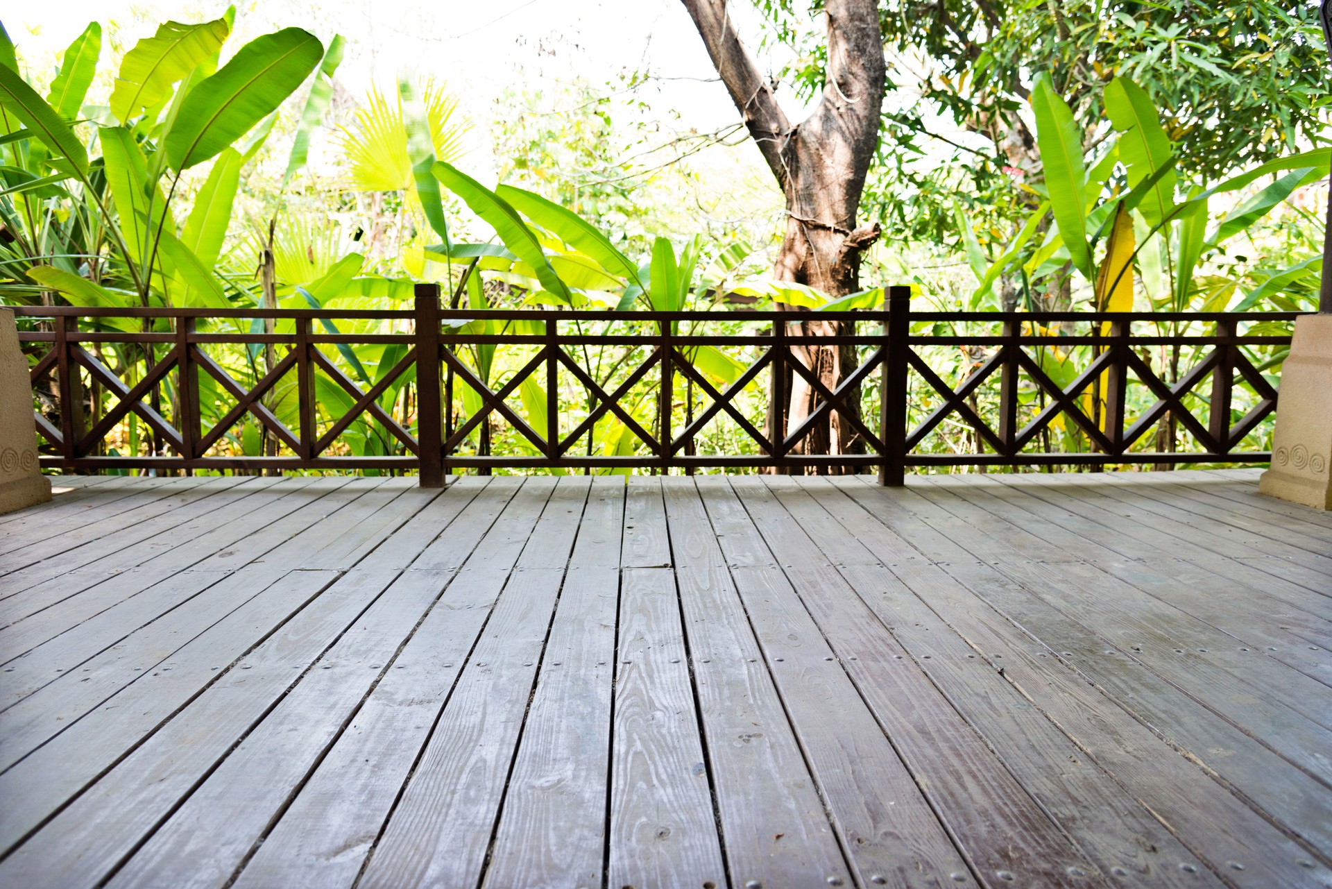 Empty wooden platform with green plant in the background